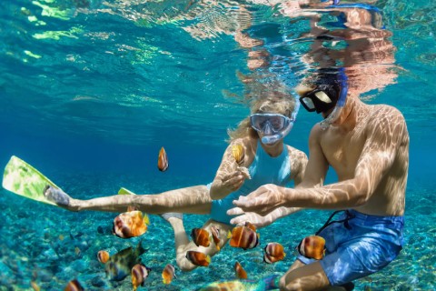 Family snorkeling in clear blue waters