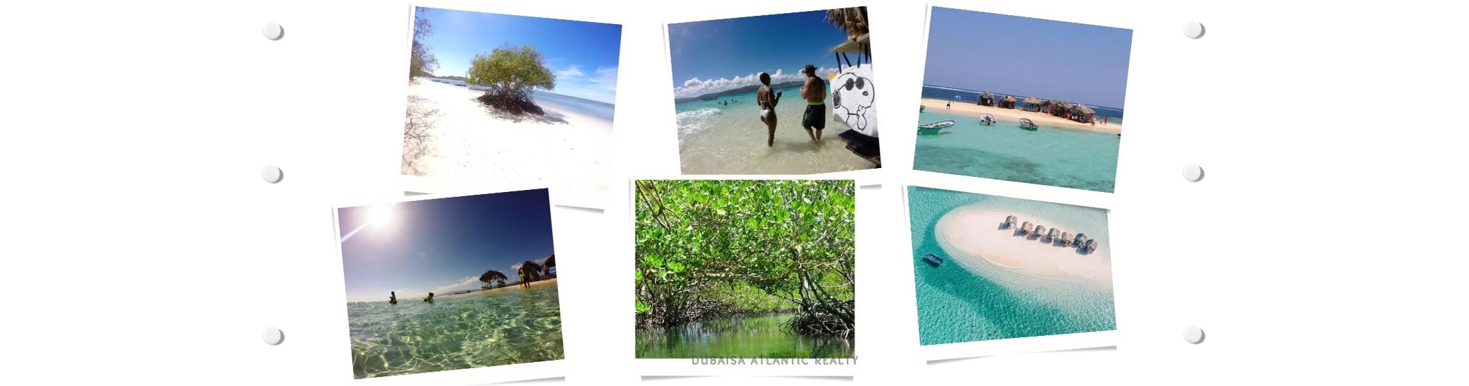 Cayo Arena Paradise Island & Mangroves Tour from Puerto Plata