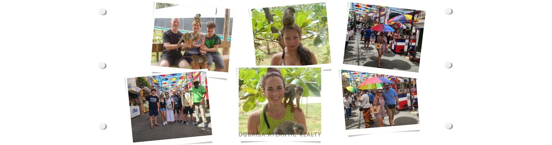 Puerto Plata Monkey, Fortress & Historic Center Tour